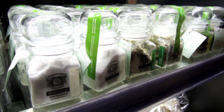 ヴィエリチカ岩塩坑